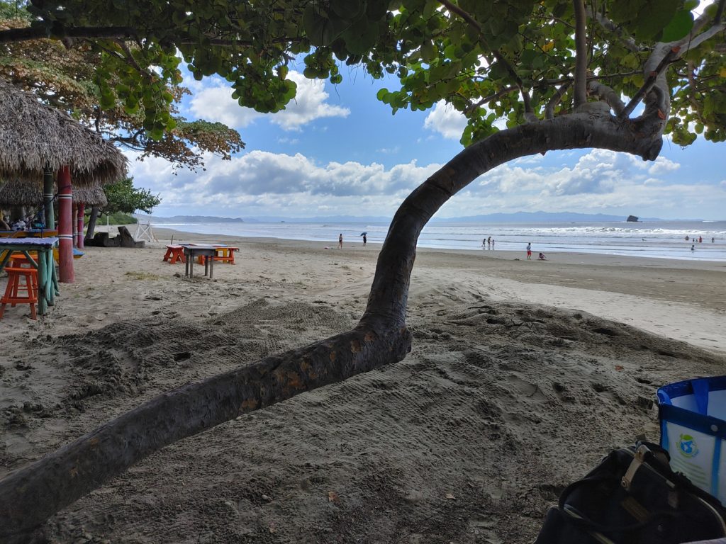 Beach with a few people, tree branch in the foreground.